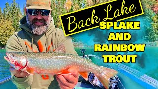 Fishing For Splake and Rainbow Trout in Northern Ontario  Flint Wilderness Lodge Back Lake Trip [upl. by Akilat]