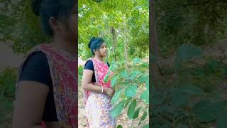 romeo raja santali song 2024 [upl. by Annohs]