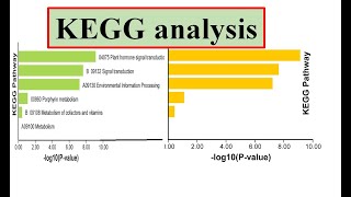 KEGG analysis kegg database genomewidestudy [upl. by Stedmann]