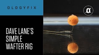 CARPologyTV  How to tie Dave Lanes Simple Wafter Rig [upl. by Hannavahs]