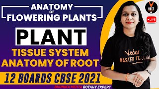 Anatomy Of Flowering Plants  Anatomy Of Stem And Leaf  12th Board Exam 2021  Vedantu [upl. by Dupuis754]