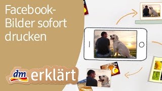 dm Fotoservice in den dmMärkten FacebookBilder über Facebook Connect sofort drucken [upl. by Margaretta]