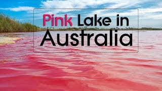 Lake Hillier Pink Lake in Western Australia Tenchnical Miracles [upl. by Nnaharas]