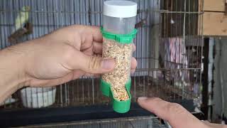 Feedback sa Automatic Bird Feeder and Waterer [upl. by Frisse]