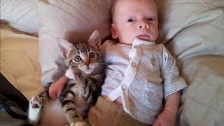 Cats and babies are best friends – Cute baby amp cat compilation [upl. by Verile]