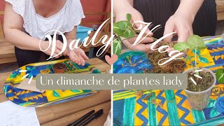 DAILY VLOG  Semis de FLEURS  REMPOTAGE  HYDROCULTURE🌿🌸 [upl. by Nnaycnan]