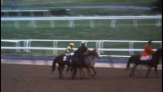 Triple Crown Winners Secretariat Seattle Slew and Affirmed [upl. by Philemon]