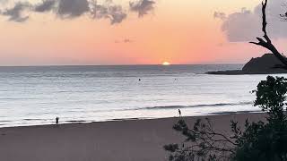 Sunrise at Terrigal Beach Multiple bird fly passes [upl. by Atsirtal]