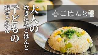 【どちらがお好き？大人用？子ども用？】春ごはん2種 [upl. by Julee]