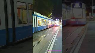 Ein Flexity und ein Cobra Tram bei der Haltestelle Zürich SihlquaiHB [upl. by Ricardo]