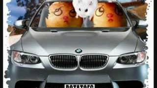 Funny hamsters  funny hamster video  Part 8 [upl. by Beach]