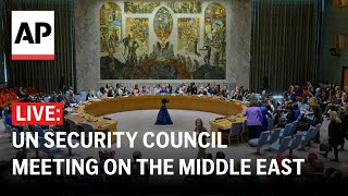 LIVE UN Security Council meeting on the Middle East [upl. by Alvy]