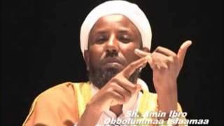 sheik Amin Ibro hin hirarrin [upl. by Slein]