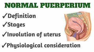 Normal Puerperium 📗OBG notesbsc ampgnm nursingPART 1 [upl. by Lodhia174]