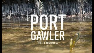 Experience Port Gawler  Crab Raking [upl. by Ymma202]