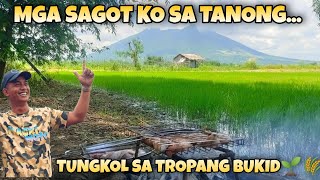 EP821 Part2of2 MGA SAGOT KO SA MGA TANONG TUNGKOL SA TROPANG BUKID🌾🌱 [upl. by Atires229]