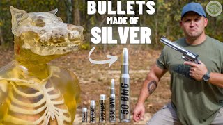 WEREWOLF DEFENSE Pure Silver 50 BMG 500 SampW 12 Gauge amp More [upl. by Teloiv]