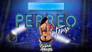 MIX PERREO INTENSO  REGGAETON OLD SCHOOL MIX DJ BRAYAN AMAYA [upl. by Lamag]