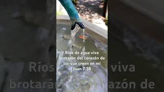 Ríos de agua viva brotarán del corazón de los que creen en mí Juan 738 [upl. by Geerts976]