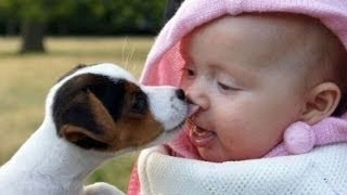 Hunde Und Babies Sprechen Miteinender HD VIDEO [upl. by Ellenuahs]