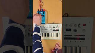 Strymon Cloudburst  Korg Minilogue [upl. by Lamej]