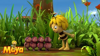 Arent they cute  Maya the Bee🐝🍯🐝 [upl. by Drapehs543]