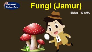 Kingdom Fungi  Biologi kelas 10 SMA [upl. by Latsyrhc]