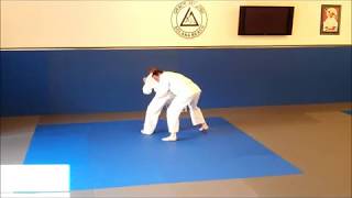 Free Fight Simulation Gracie Combatives Test Gracie University [upl. by Stanway858]