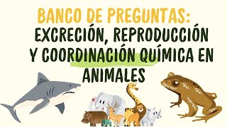 Práctica de biología Excreción Reproducción y Coordinación Química En Animales [upl. by Spears]