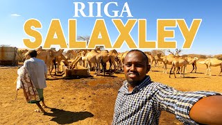 XOOLO OOMAN OO AAN KULA KULMAY RIIGA SALAXLEY [upl. by Griff755]