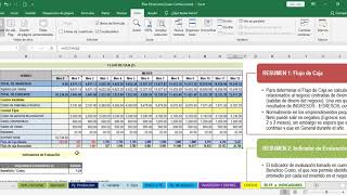 Video 12 FLUJO DE CAJA [upl. by Cohe]