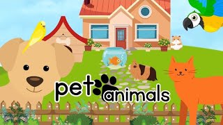 Pet Animals 🐶🐱🐰🐹 learn their names and there homes [upl. by Damara]