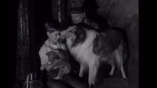 Lassie  Episode 27  quotThe Runtquot  Season 2 1  09111955 [upl. by Ardnalak942]