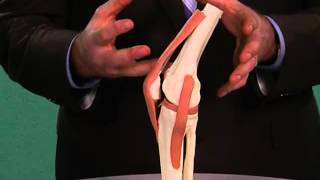 Bursitis  Serious Accidents Can Affect Knee Movement [upl. by Gayle]