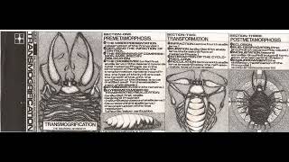 OMIT  Transmogrification B3 Interaction Of The Cyclopoid Larva 1993 cassette [upl. by Gustin]