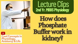 Lecture Clip How does Renal Phosphate Buffer work 2nd Year MBBS [upl. by Arturo]