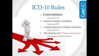 ICD 10 conventions and guidelines [upl. by Nnyleitak359]