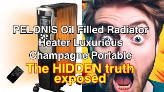 Pelonis oil filled radiator heater review luxurious champagne portable space heater with programmab [upl. by Derina863]