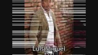 como te quise te olvido  luis miguel del amargue [upl. by Laaspere]