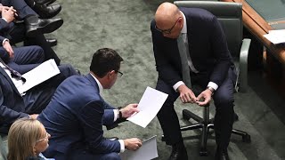 ‘Deceitful to our face’ James Ashby says voters have ‘had a gutful’ of the Coalition [upl. by Aldas]