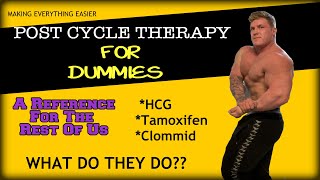 Post Cycle Therapy For Dummies  HCG Nolvadex and Clomid Explained [upl. by Naened]