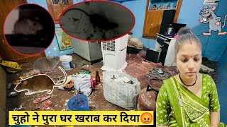 चुहो ने हमारा पूरा घर ख़राब करदिया 😔😡 Sehwagriddhivlog [upl. by Nytsirt]