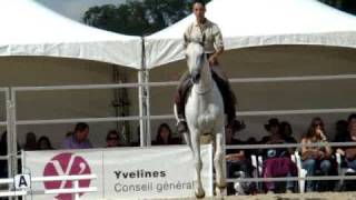 Dressage en cordeo by Emilie  La Cense 2010 [upl. by Narret]