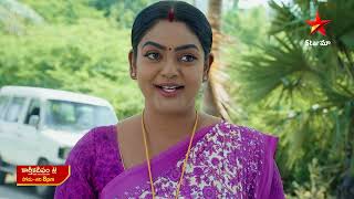 Karthika Deepam  Promo  16th Nov 2024  Star Maa Serials  MonSat at 8 pm  Star Maa [upl. by Jamey]