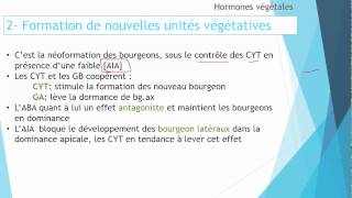 S5 Croissance et développement des plantes  Roles des hormones II 34 [upl. by Adilem]