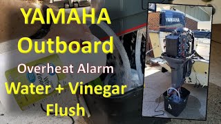 Yamaha Outboard Overheat Alarm Fix  Water and Vinegar Engine Flush [upl. by Eelarak]