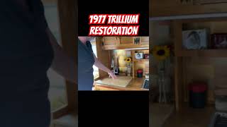 Vintage Fiberglass Trailer Restoration  1977 Trillium  OH WOW shorts [upl. by Learsi]