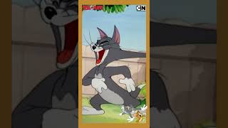 Tom amp Jerry 😺🐭 Baby Woodpecker Saves the Day 🤗 tomandjerry  funnyvideo  shorts  cnindia [upl. by Nomolos]