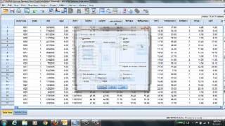 SPSS amp Descriptive Statistics [upl. by Hyatt6]