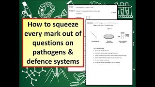 How to answer GCSE 19 Biology questions on pathogens amp defence systems [upl. by Nalyad26]